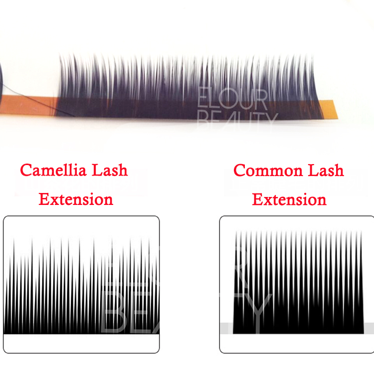 comparation for camellia lash extensions and common lash extensions China.jpg